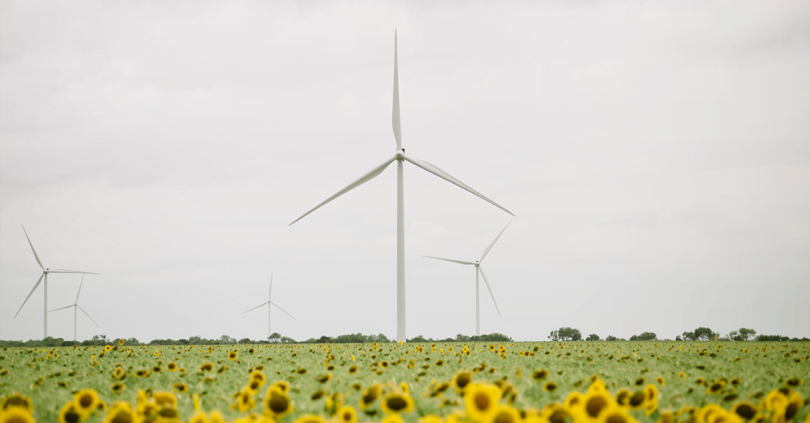 Key visual Carbon neutrality