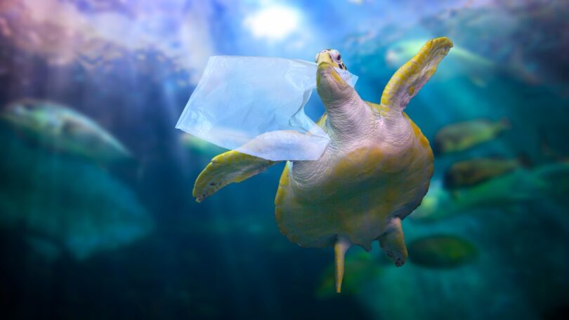 iStock