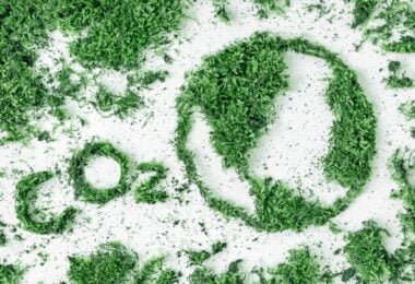 emissões de carbono