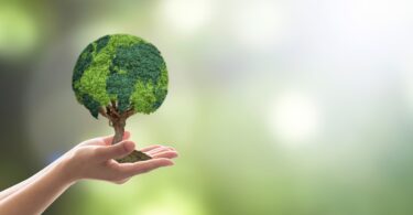 iStock