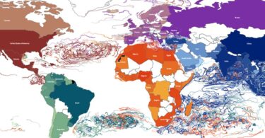 Um grupo de investigadores da Florida State University desenvolveu uma ferramenta para rastrear o lixo marinho que flutua nos oceanos.