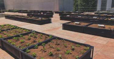 Horta urbana Porto Business School