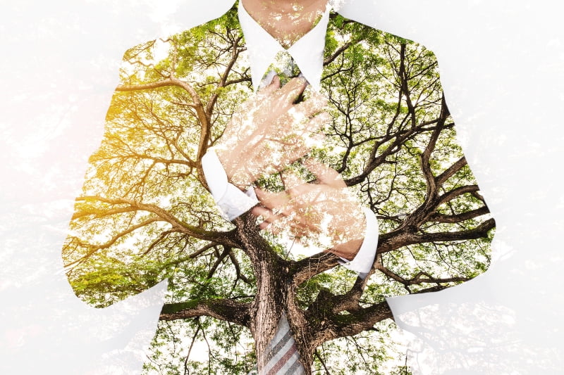 Inflação e guerra podem abrandar planos de sustentabilidade