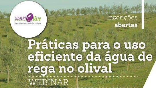 O grupo operacional "SustentOlive" vai realizar a 17 de junho, às 18h00, o webinar "Práticas para o uso eficiente da água de rega no olival".