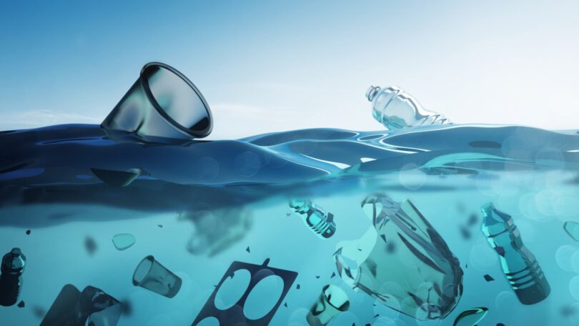 As embalagens de plástico provenientes da comida de takeaway e de bebidas dominam o lixo marítimo revela um estudo espanhol.