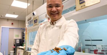 As cascas do fruto tropical tamarindo, também conhecido como tâmara da Índia ou tamarinho, foram convertidas numa fonte de energia.