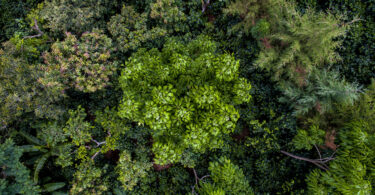 O prémio da World Finance Magazine para a Empresa mais sustentável na Indústria de Processamento de Café foi atribuído à Nespresso.