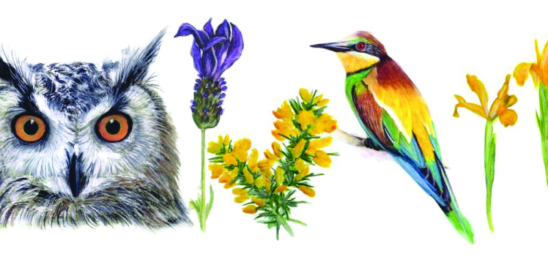 Green Media aposta em Programa de Sustentabilidade para empresas