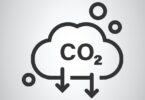 O Grupo Ibersol revelou que conseguiu reduzir as emissões de CO2 em 10 mil toneladas, através da aposta nas energias renováveis.