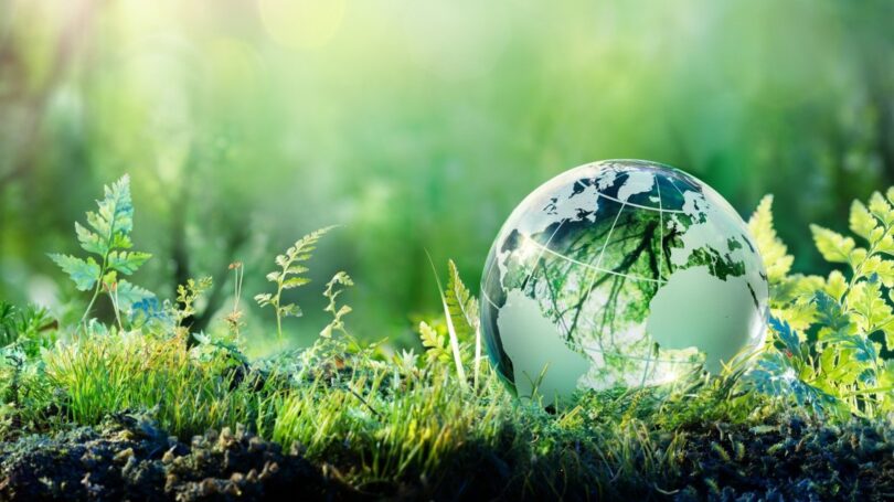 O novo estudo do Cetelem analisou o nível de envolvimento dos portugueses com a economia circular, sendo as famílias abastadas as que lideram.