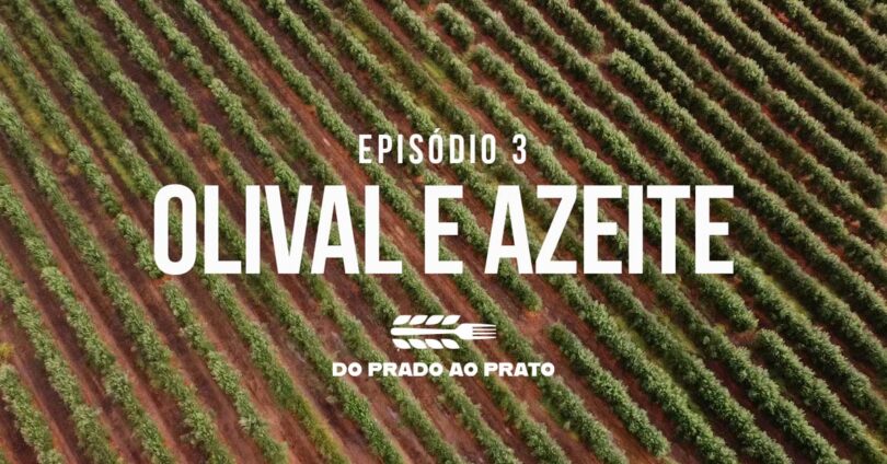 A mitigação das alterações climáticas no olival e no azeite é uma das práticas em destaque no terceiro episódio do ‘Prado ao Prato’.