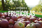 O quarto episódio do ‘Prado ao Prato’ coloca em destaque as frutícolas, com foco na agricultura regenerativa de alta produtividade.