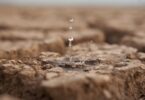 A FAO revelou um novo relatório que destaca a degradação do estado do solo, terra e água, sendo que está a chegar a um "ponto crítico".