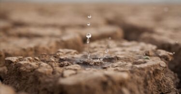 A FAO revelou um novo relatório que destaca a degradação do estado do solo, terra e água, sendo que está a chegar a um "ponto crítico".
