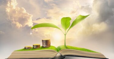Quase metade (42%) dos empresários europeus considera que a sustentabilidade será a principal proposta de valor dos novos negócios.