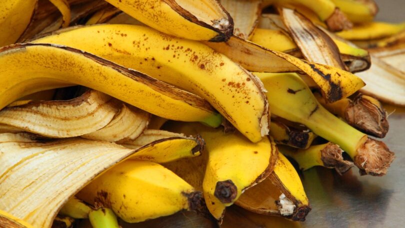 Investigadores da EPFL, na Suíça, criaram um novo método rápido para produzir hidrogénio e biochar a partir das cascas da banana.