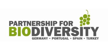 Um novo estudo, promovido pela Comissão Europeia, destacou o projeto Parceria Europeia para a Proteção da Biodiversidade na Viticultura.