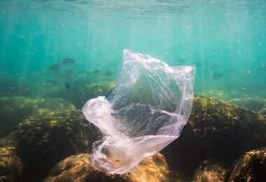 A Clean Oceans Initiative é a nova coligação global para combater a poluição de resíduos plásticos nos oceanos.