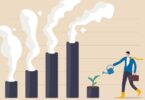Quase todos os líderes C-Level  (97%) afirmam que as suas empresas já foram negativamente afetadas pelas alterações climáticas.