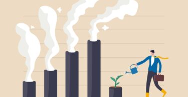 Quase todos os líderes C-Level  (97%) afirmam que as suas empresas já foram negativamente afetadas pelas alterações climáticas.
