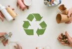 Sociedade Ponto Verde quer revisão da gestão de resíduos urbanos em Portugal