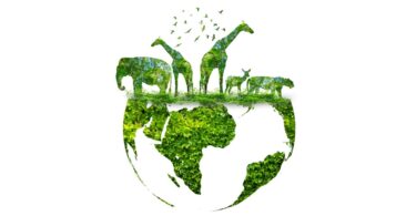 APIFVET alerta para importância da preservação da diversidade biológica