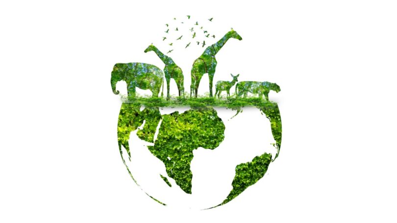 APIFVET alerta para importância da preservação da diversidade biológica