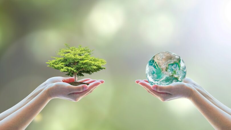 “Biodiversidade na Estrada” é aposta da Ascendi para promover preservação ambiental