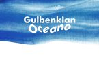 Gulbenkian Carbono Azul vai mapear ecossistemas com potencial de sequestro de carbono