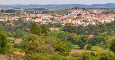 Central solar de Cercal do Alentejo vai conviver com abelhas e gado ovino