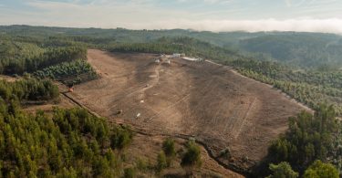 Voltalia constrói cluster solar em Portugal com 50,6 megawatts