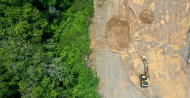 Portugueses estão preocupados com a destruição e degradação das florestas 