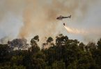 Emissões europeias dos incêndios florestais atingiram o maior valor desde 2007
