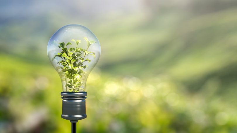 Apenas iluminação e veículos elétricos estão em linha com neutralidade carbónica