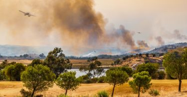 Alterações climáticas: Portugal perdeu quase 5 mil milhões na última década