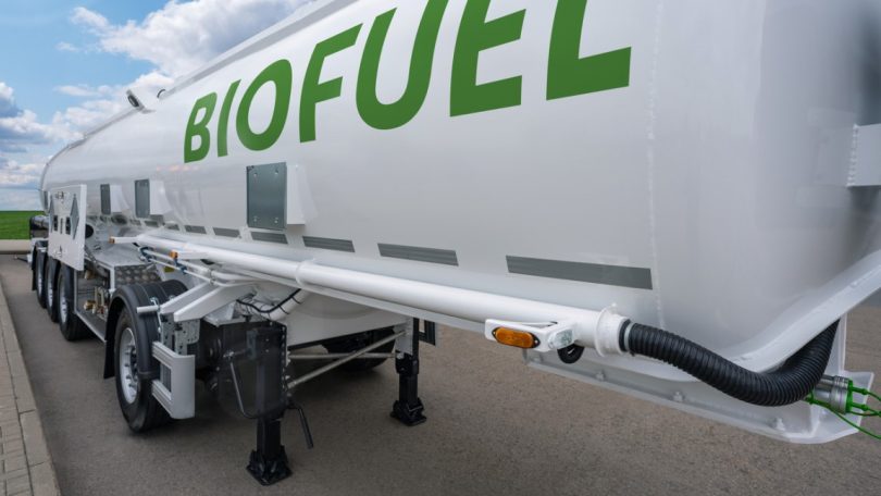 Biocombustíveis: Portugal pode poupar até 1 milhão de toneladas/ano de CO2