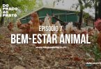 Bem-estar animal é o tema do novo episódio do Prado ao Prato