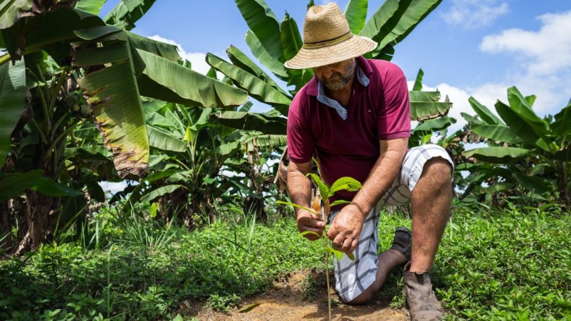 Mondelēz Internacional duplica investimento no programa Cocoa Life