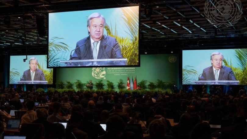COP15: Quase 200 países concordam em proteger 30% do planeta até 2023