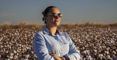Brasil avança para ter algodão 100% sustentável