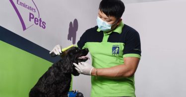 Emirates cria serviço de transporte aéreo só para animais