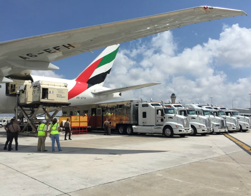 Emirates SkyCargo transporte de cavalos Logística e Transportes Hoje