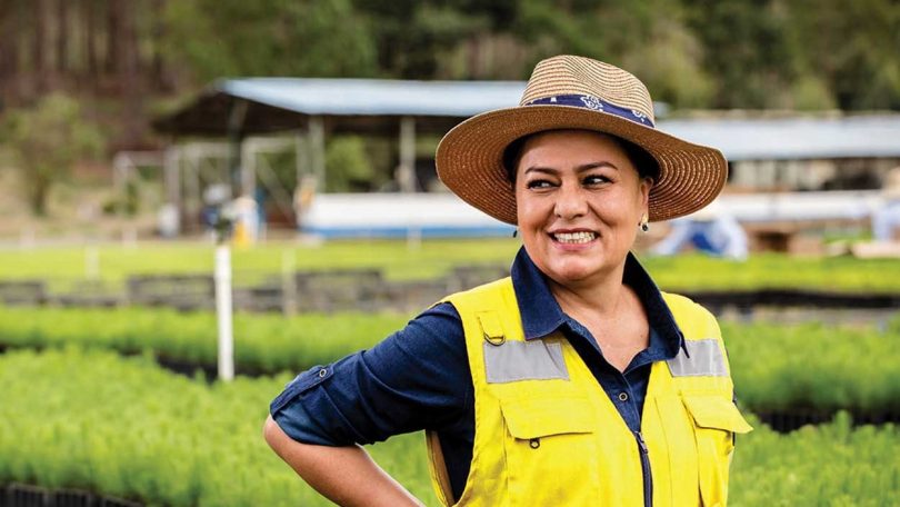 A Smurfit Kappa, empresa do setor das embalagens de papel e cartão canelado, reduziu em 7% as suas emissões de CO2 no ano passado.