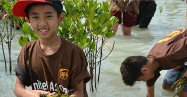 responsabilidade social