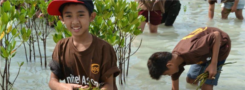 responsabilidade social