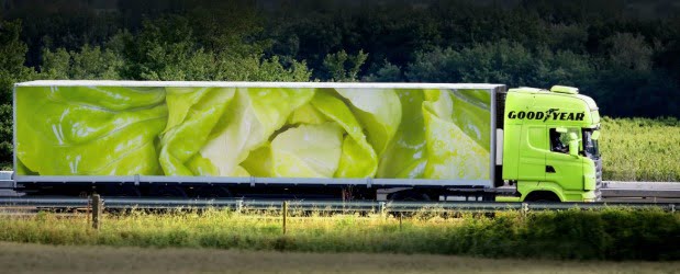 Goodyear Dunlop apoia proposta europeia sobre dimensões de camiões