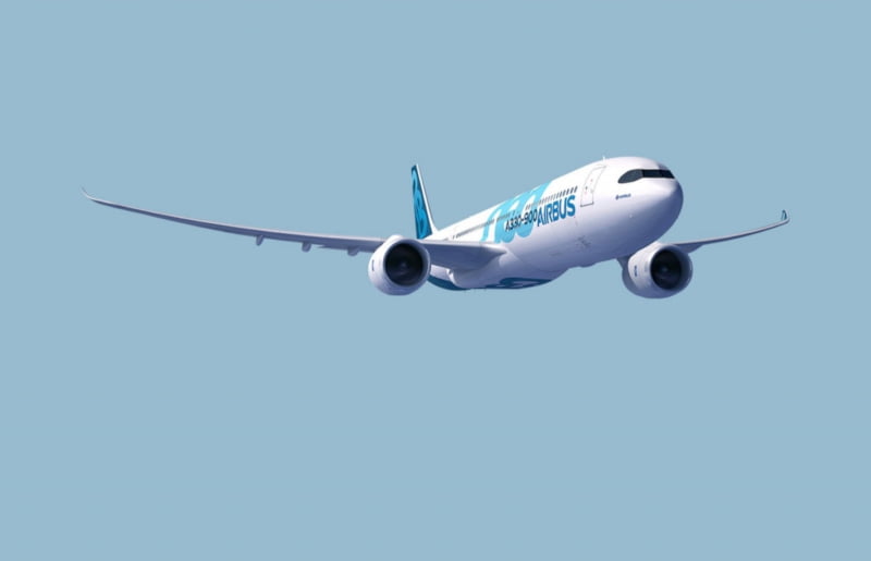 Hi Fly quer criar alternativa ao plástico para refeições servidas a bordo