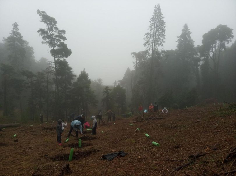 Jungheinrich Portugal com compromisso ambiental
