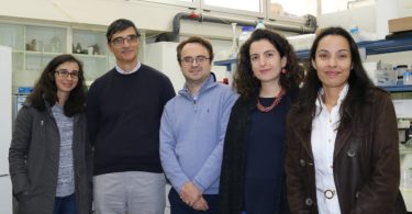 Investigadores portugueses desenvolvem molécula natural para substituir estireno