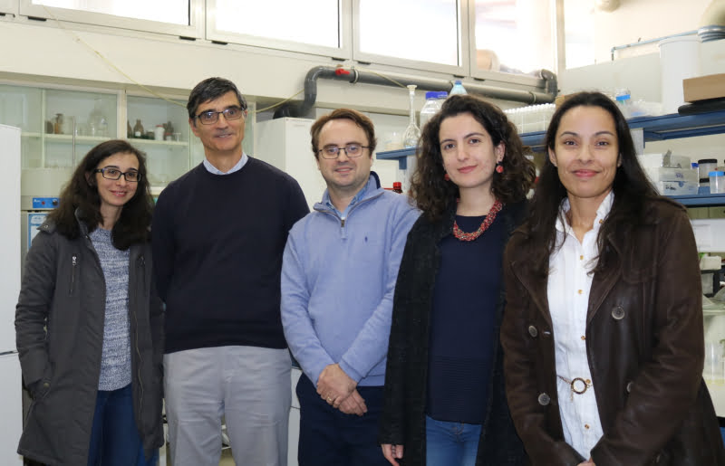 Investigadores portugueses desenvolvem molécula natural para substituir estireno